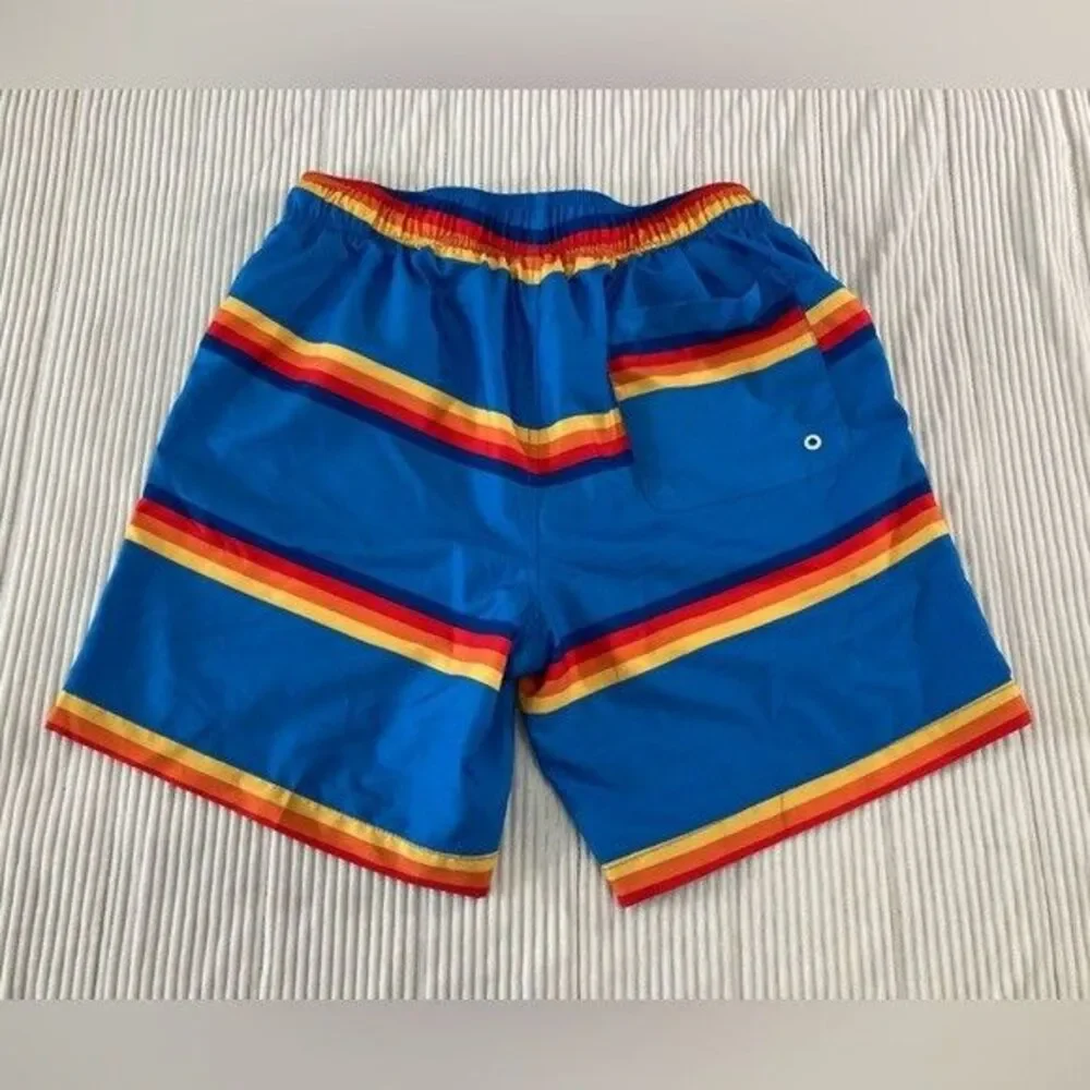 Speedo Mens Swim Trunks M Blue Stripe Quick Dry Beach Swim Shorts Liner